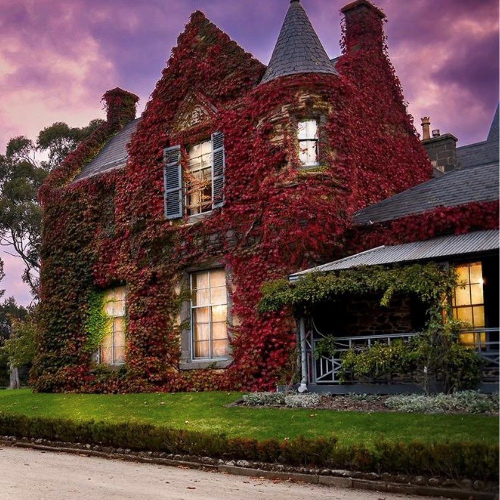 Friday 4th July - Drag Bingo Dinner Show