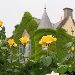 Sunday High Tea add-on Castle Tour