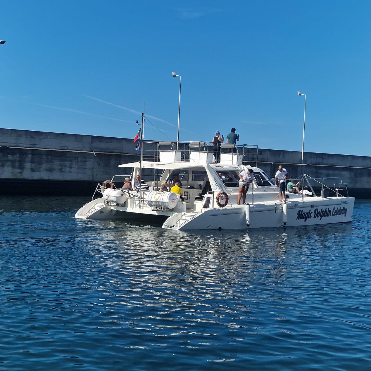 Dolphin and Whale Watching from a Luxury Catamaran (2.5h)