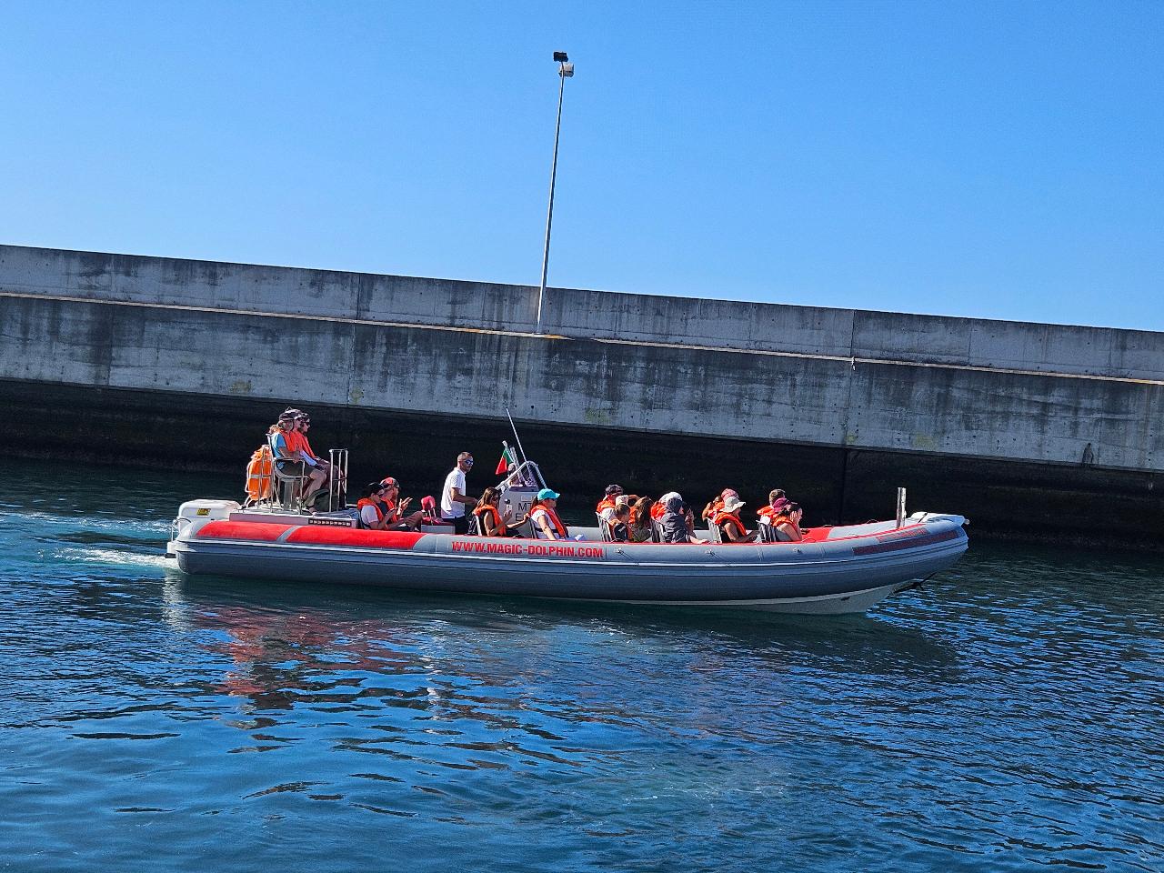 Magic Dolphin Sea Safaris