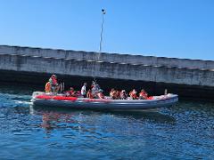 Magic Dolphin Sea Safaris