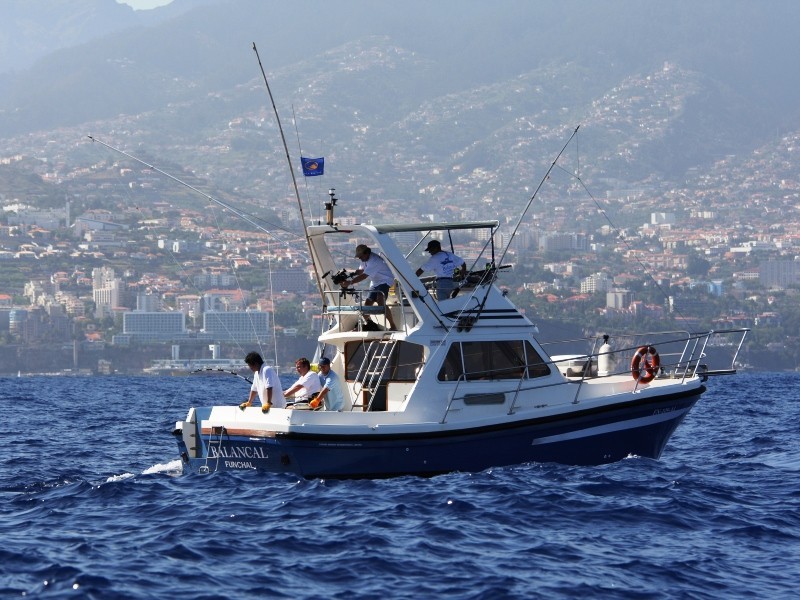 Madeira Sea Fishing Half Day (4h) from Funchal