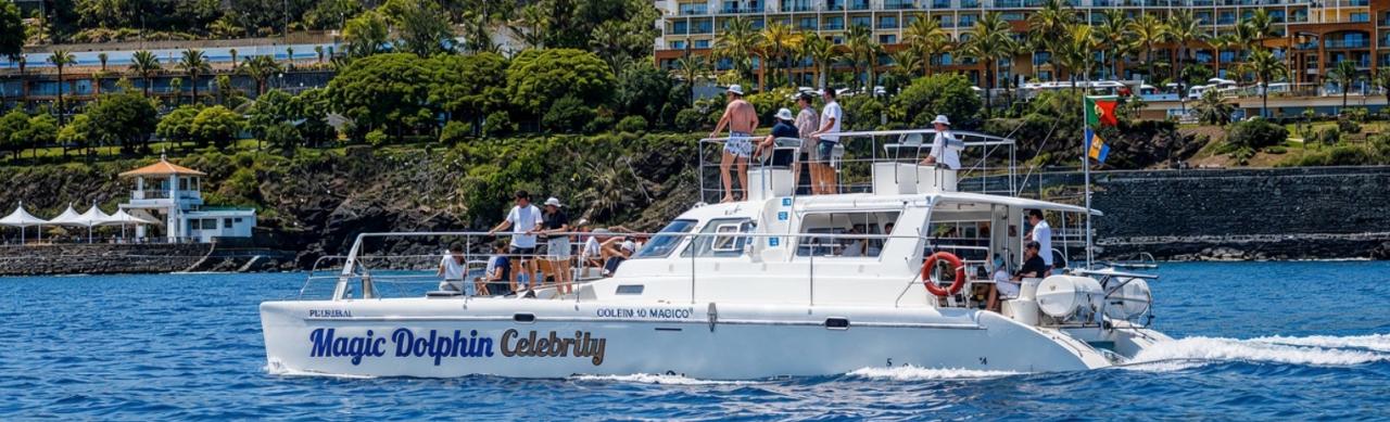 Dolphin and Whale Watching from a Luxury Catamaran (3h)