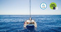 Dolphin & Whale Watching from a Luxury Catamaran 3 Hours