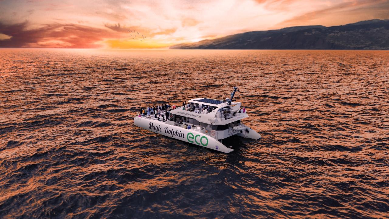 Sunset Tour from an Eco-Friendly Catamaran 