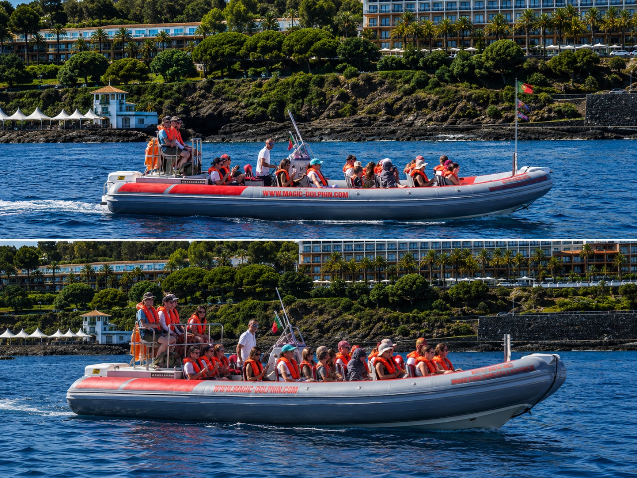Magic Dolphin Sea Safaris