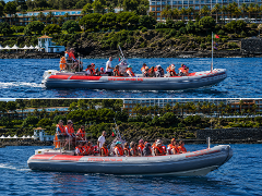 Magic Dolphin Sea Safaris