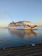 BAROSSA CRUISE SHIP TOUR - Cruise Terminal pickup 