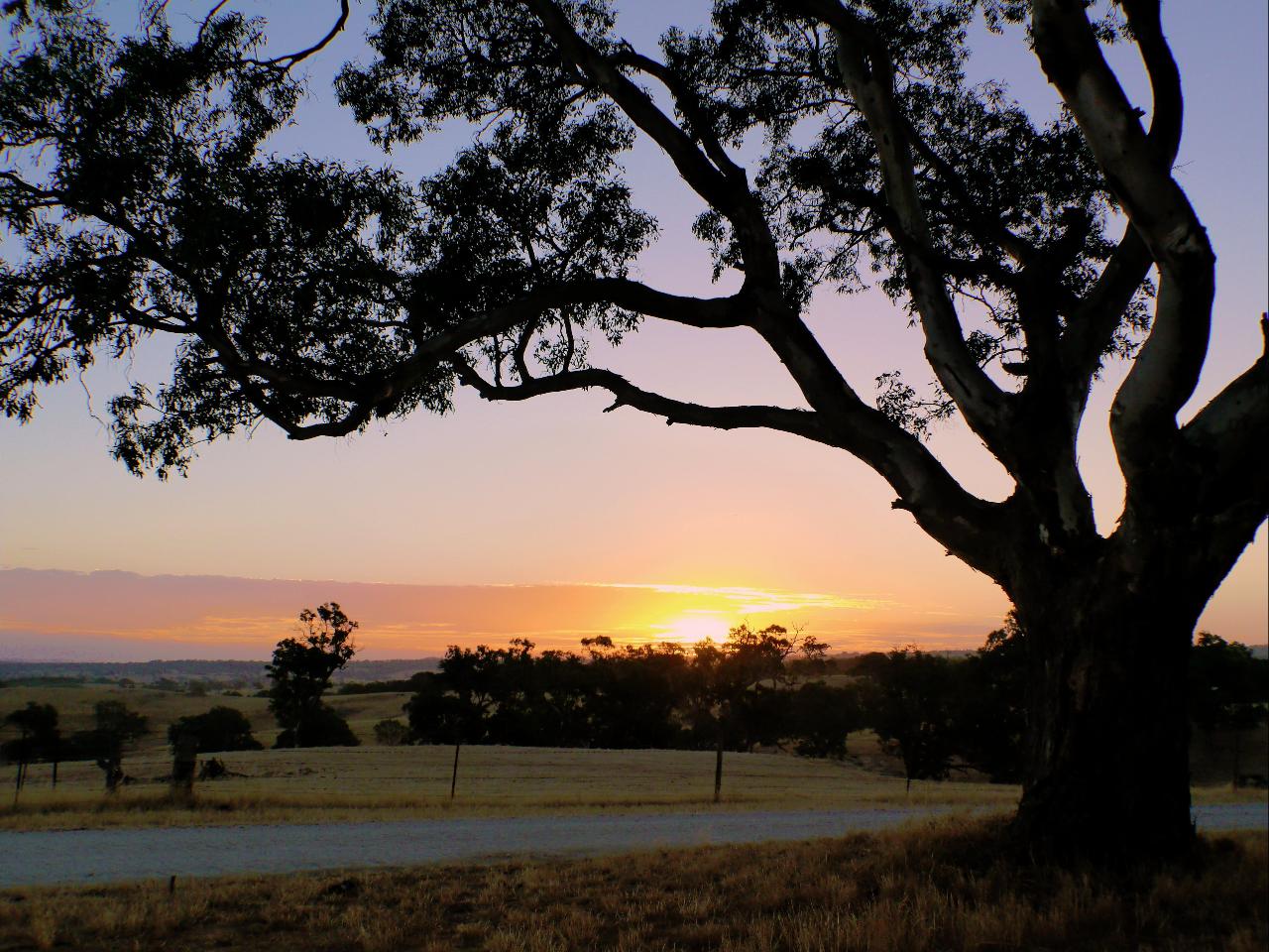 EDEN VALLEY FULLDAY SHARED WINE TOUR - ADELAIDE PICKUP