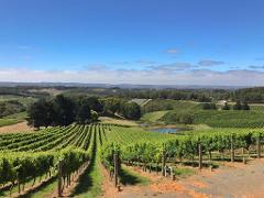ADELAIDE HILLS PRIVATE  FULL DAY TOUR- ADELAIDE PICK UP 