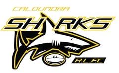 Caloundra Sharks Under 9's Coaching Clinic