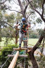 Tree Ropes Course