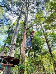 Tree Ropes Standard Session & Zipline Express