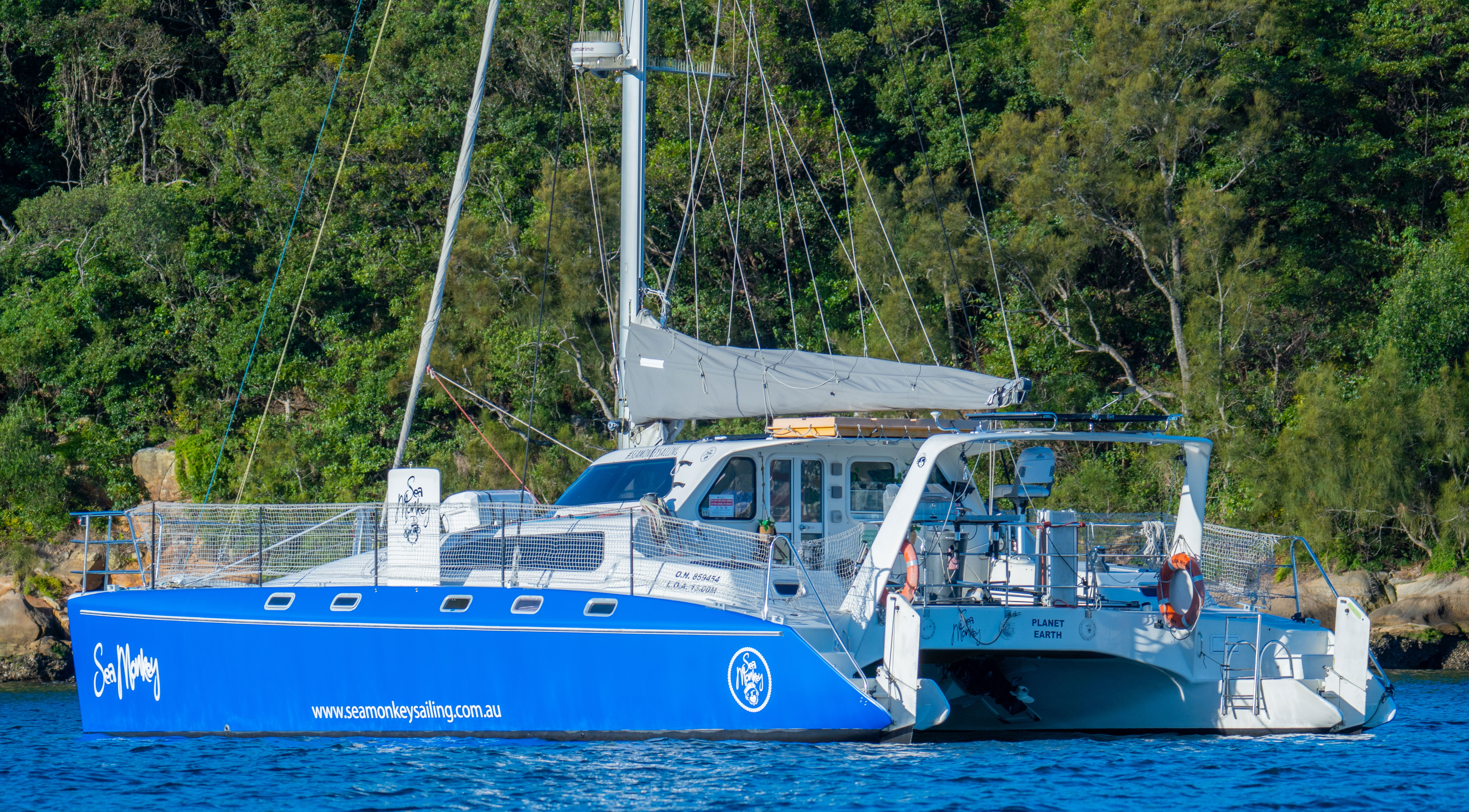 Whales and Sails a half day sailing and Whale Watching Tour
