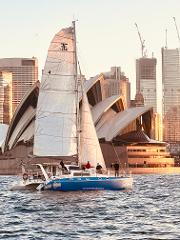 Whales and Sails a half day sailing and Whale Watching Tour