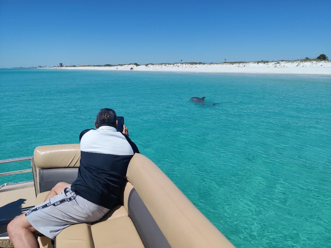 Shell Island Dolphin Boat Tour