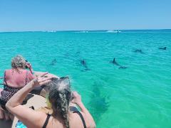 3 hour Private Boat Tour