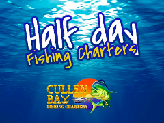 Half Day (Individual & Private Charter)