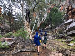 Flinders Ranges Experience July 2026