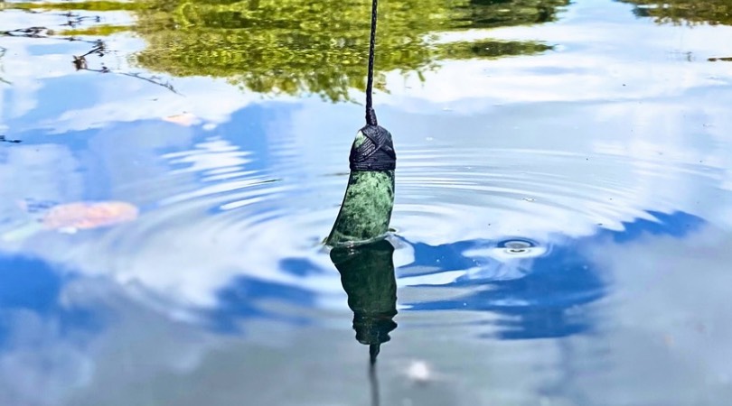 Taonga: The Pounamu Experience