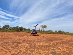 Dinosaur Stampede Half Day Helicopter Experience 