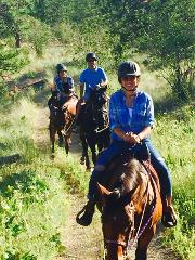 Forest Trail Ride (1 hour)