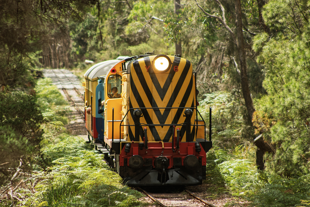 General Admission & Heritage Train Ride