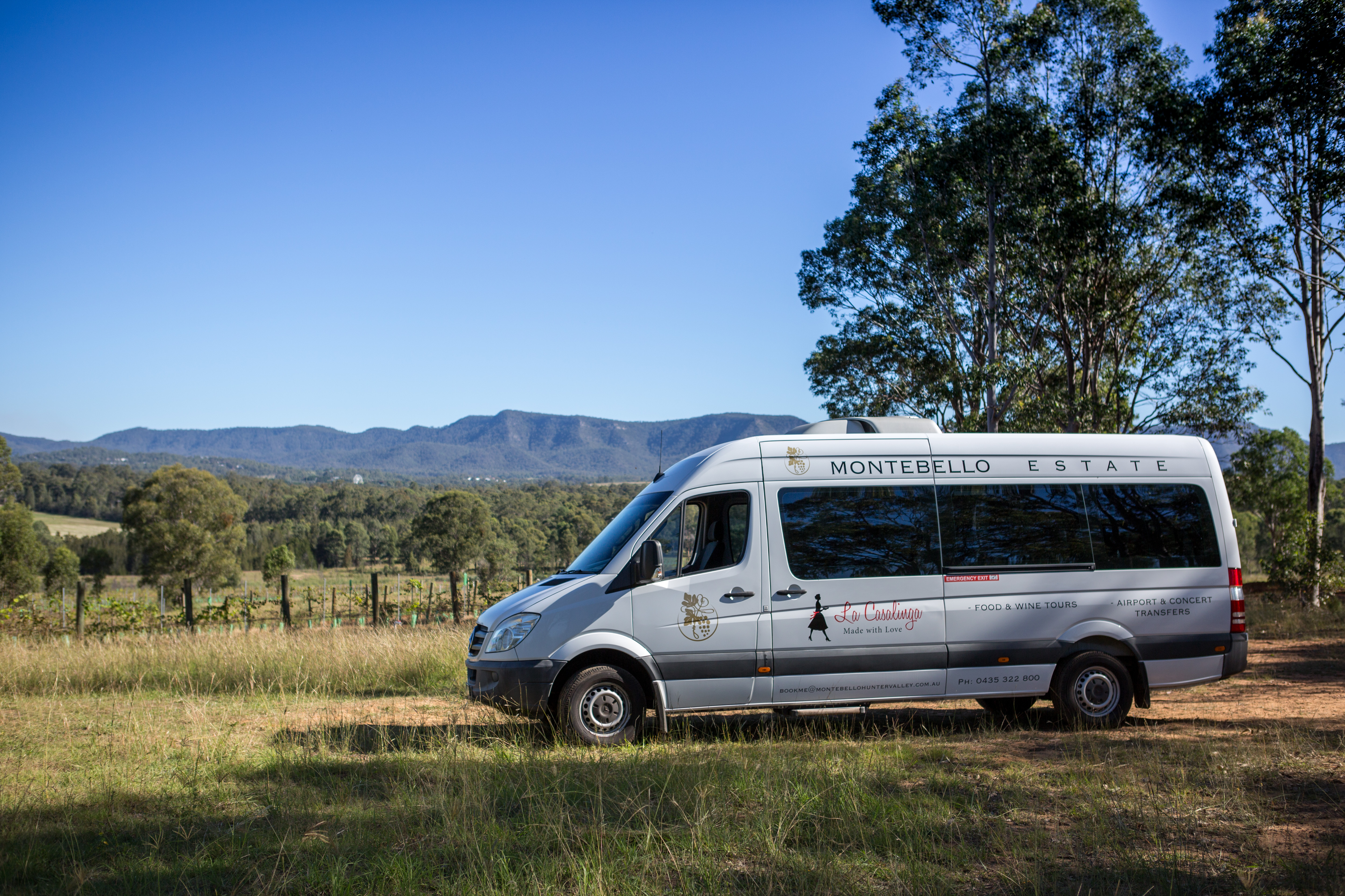 Full Day Food & Wine Tour includes lunch at La Casalinga's Cafe