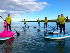 Paddle Board Session
