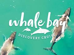 Whale Bay Discovery Cruise
