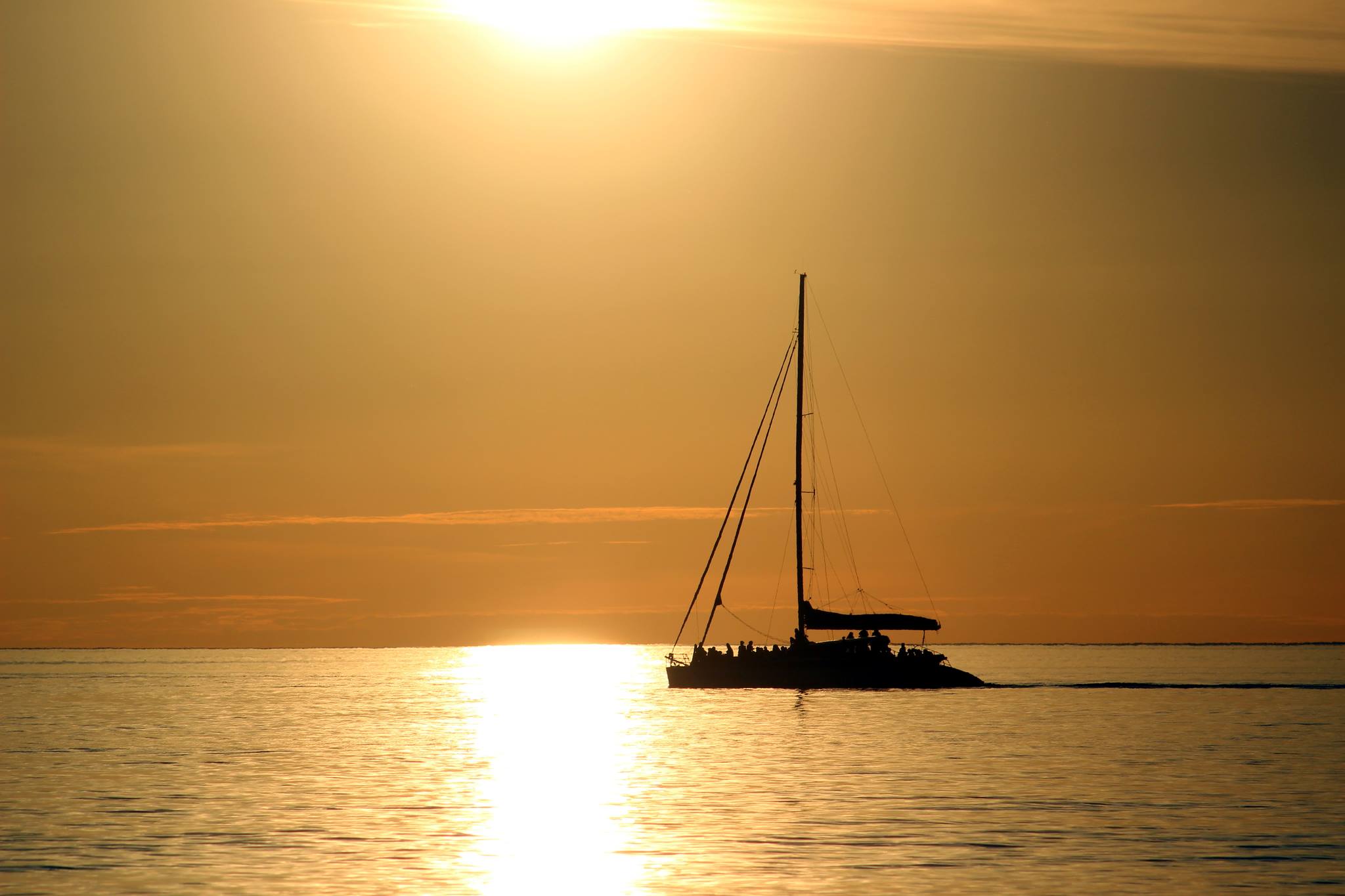 Twilight Cruise Gift Card