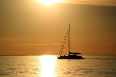 Twilight Cruise Gift Card