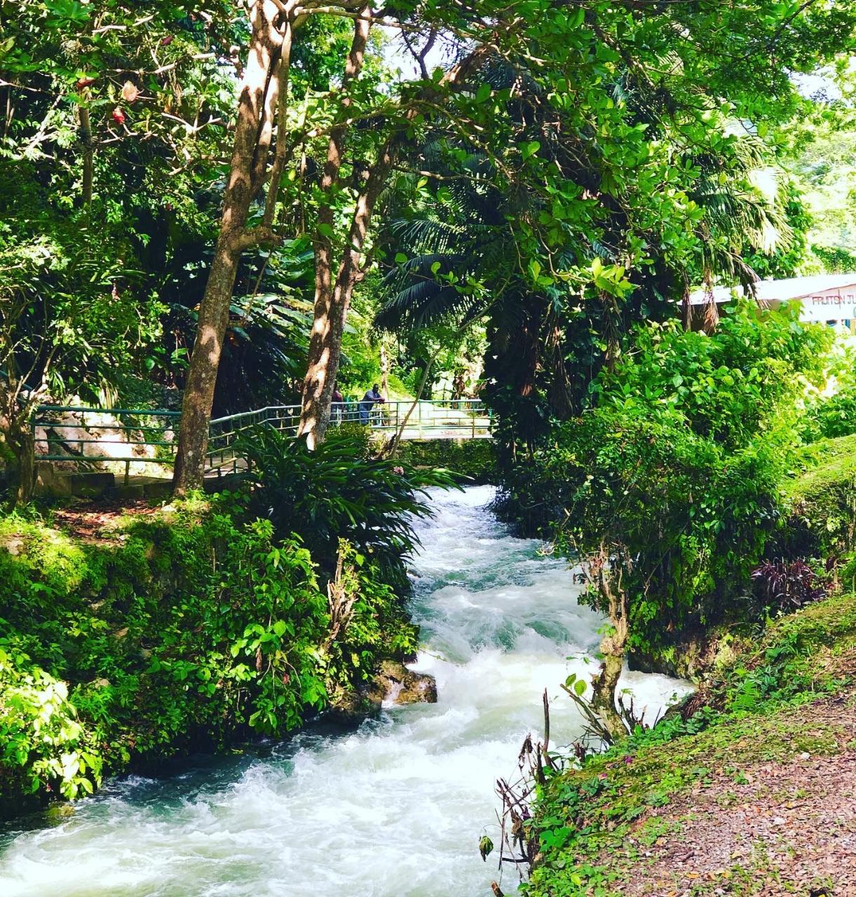 Roaring River Caves from Negril Hotels