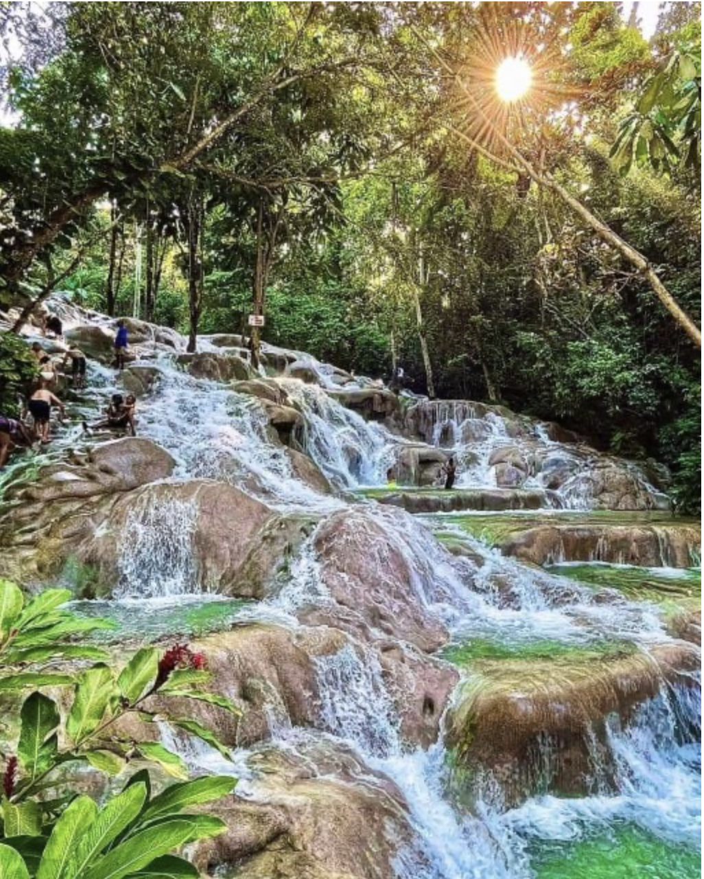 Dunns River Falls from Montego Bay