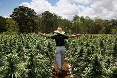 JACANA Farm + Lab Tour from Ocho Rios Properties 