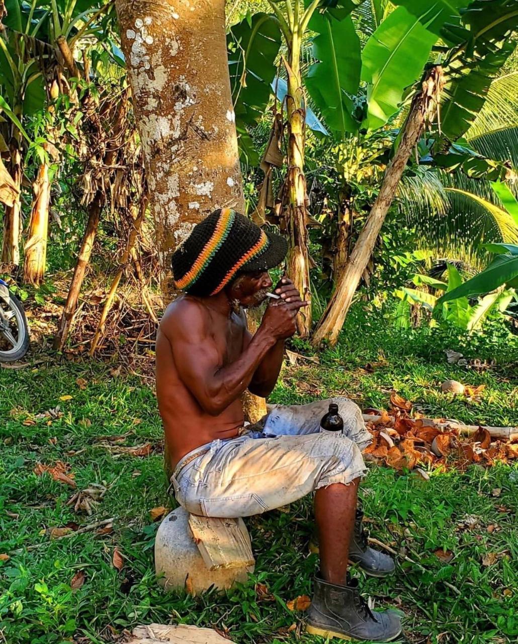 Rasta Hike from Negril Hotels