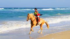 HORSE RIDING TRAIL TO SALT FLATS AND KITE BEACH