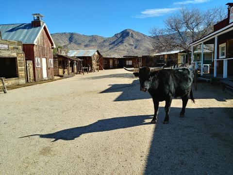 Spirits of the Past: Las Vegas Ghost Towns Private Day Trip