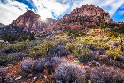 RedRockSunset