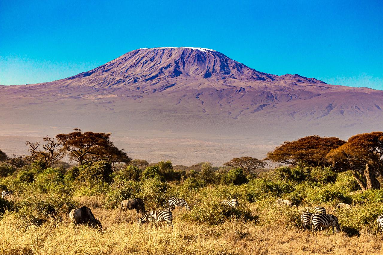 Tanzania: An African Dream - Kilimanjaro Climb