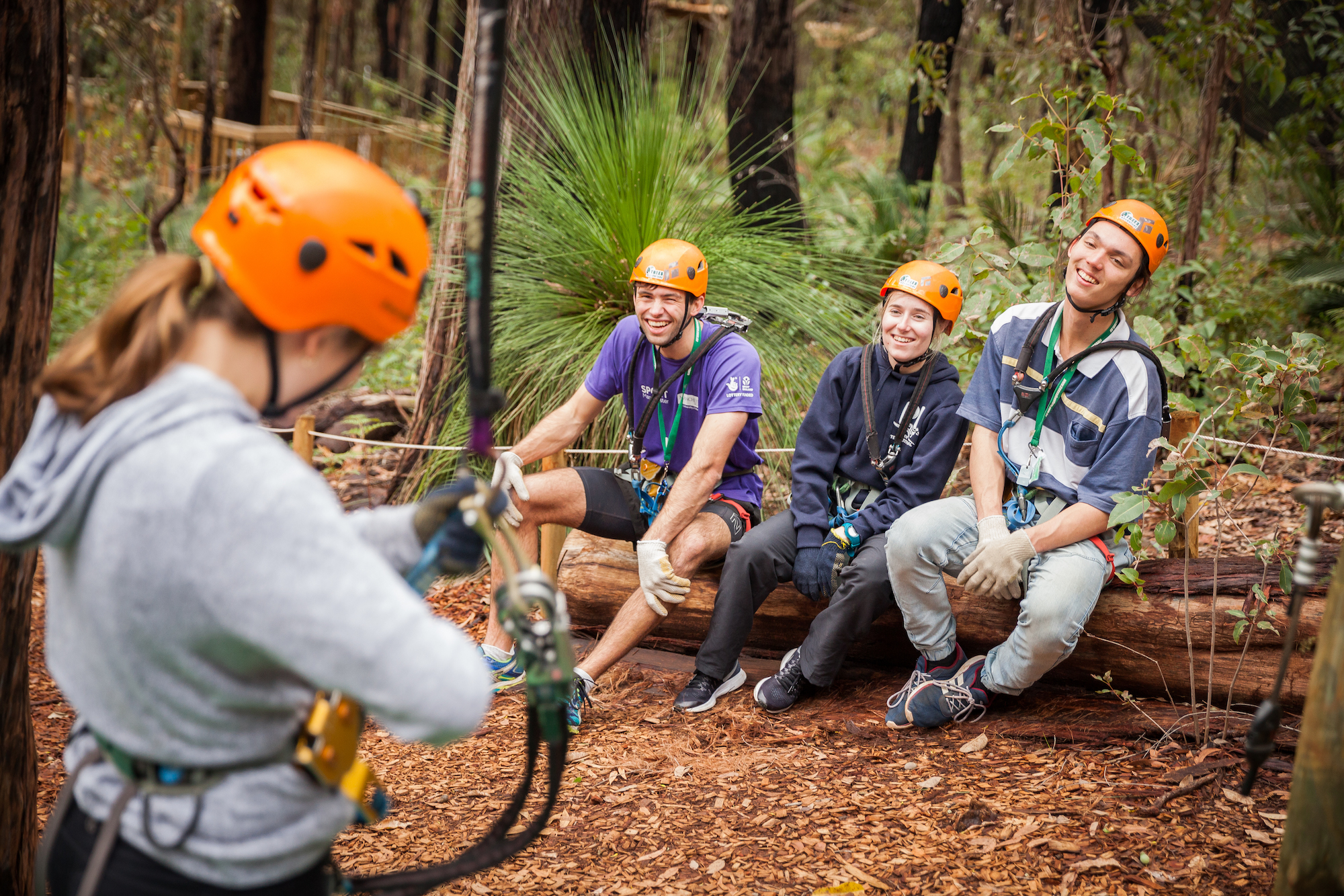 Treetops Ropes Session (2.5hrs)