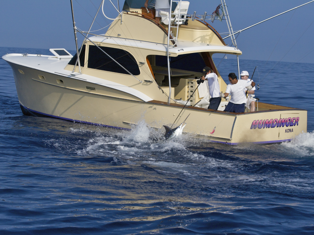 $649 ~ 1/2 Day Web Special - 4 Hours  (1:00PM) | One Price Books the Boat - Max 6 PPL