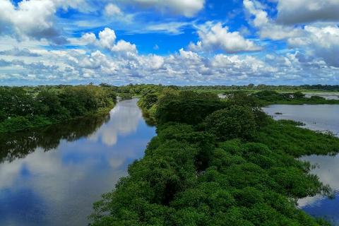 Wildlife boat tour - Refugio Nacional de Vida Silvestre Mixto Caño Negro