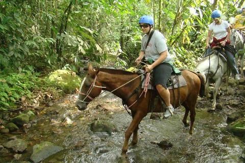 Horseback Ride to La Fortuna Waterfall