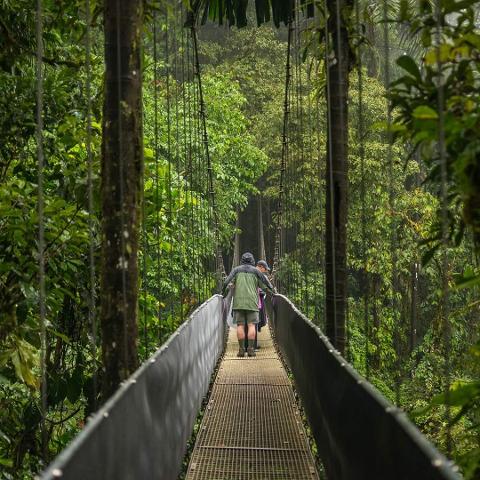 HANGING BRIDGES MÍSTICO Park