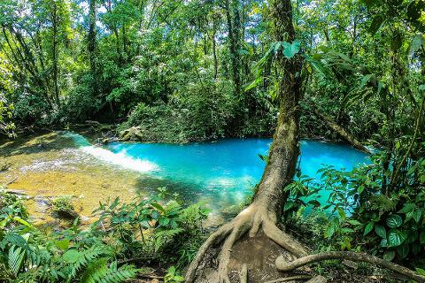 Rio Celeste and Tenorio National Park Hike + Lunch from La Fortuna