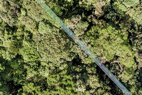 Treetop_Walkways_Selvatura_Park_2