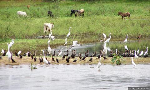 cano_negro_wildlife_refuge_2