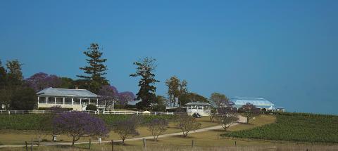 Full Day Private Winery Tour - Brisbane or Gold Coast Pickup