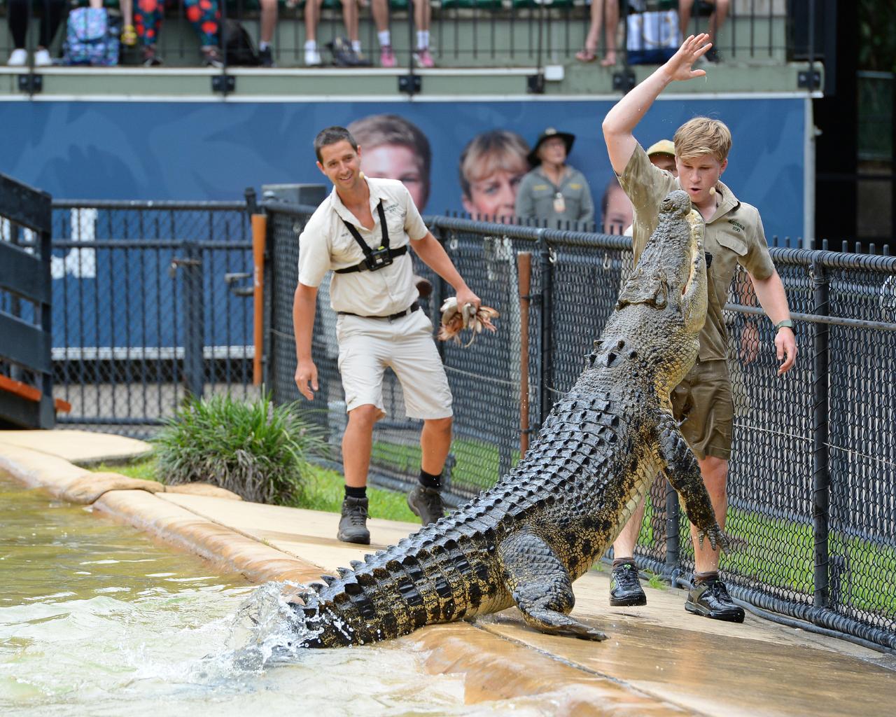 Australia Zoo: Croc Connection